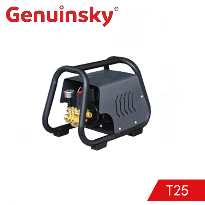 T25 উচ্চ-চাপ ওয়াশার